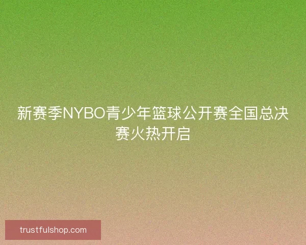 新赛季NYBO青少年篮球公开赛全国总决赛火热开启
