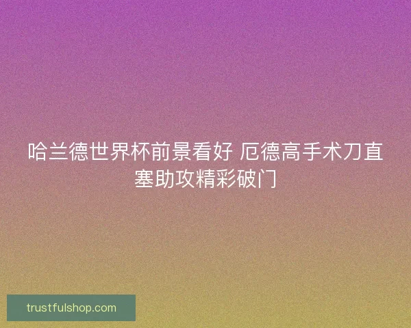 哈兰德世界杯前景看好 厄德高手术刀直塞助攻精彩破门